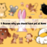 7 Reasons You Should Keep a Pet in Your Home