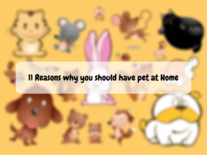 7 Reasons You Should Keep a Pet in Your Home